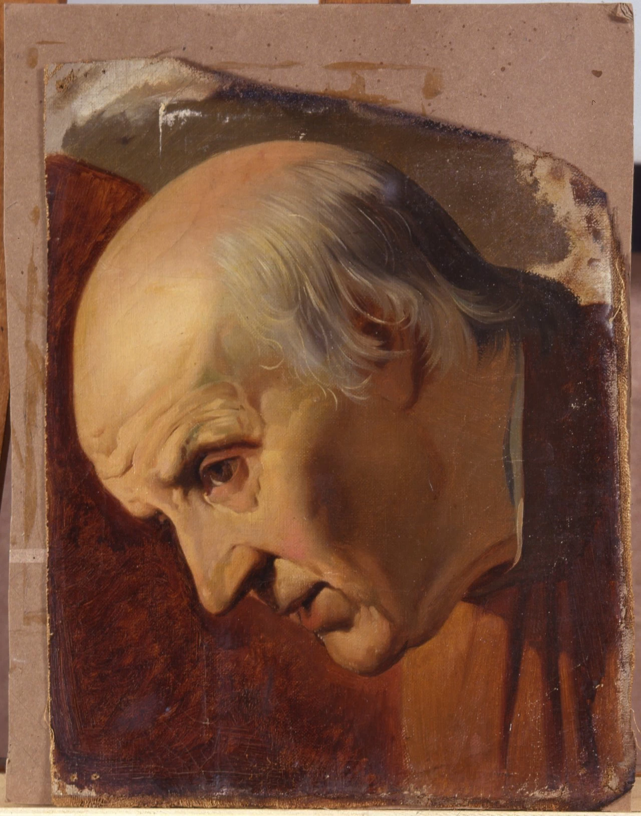 Studio i testa maschile - Palazzo pitti, Firenze